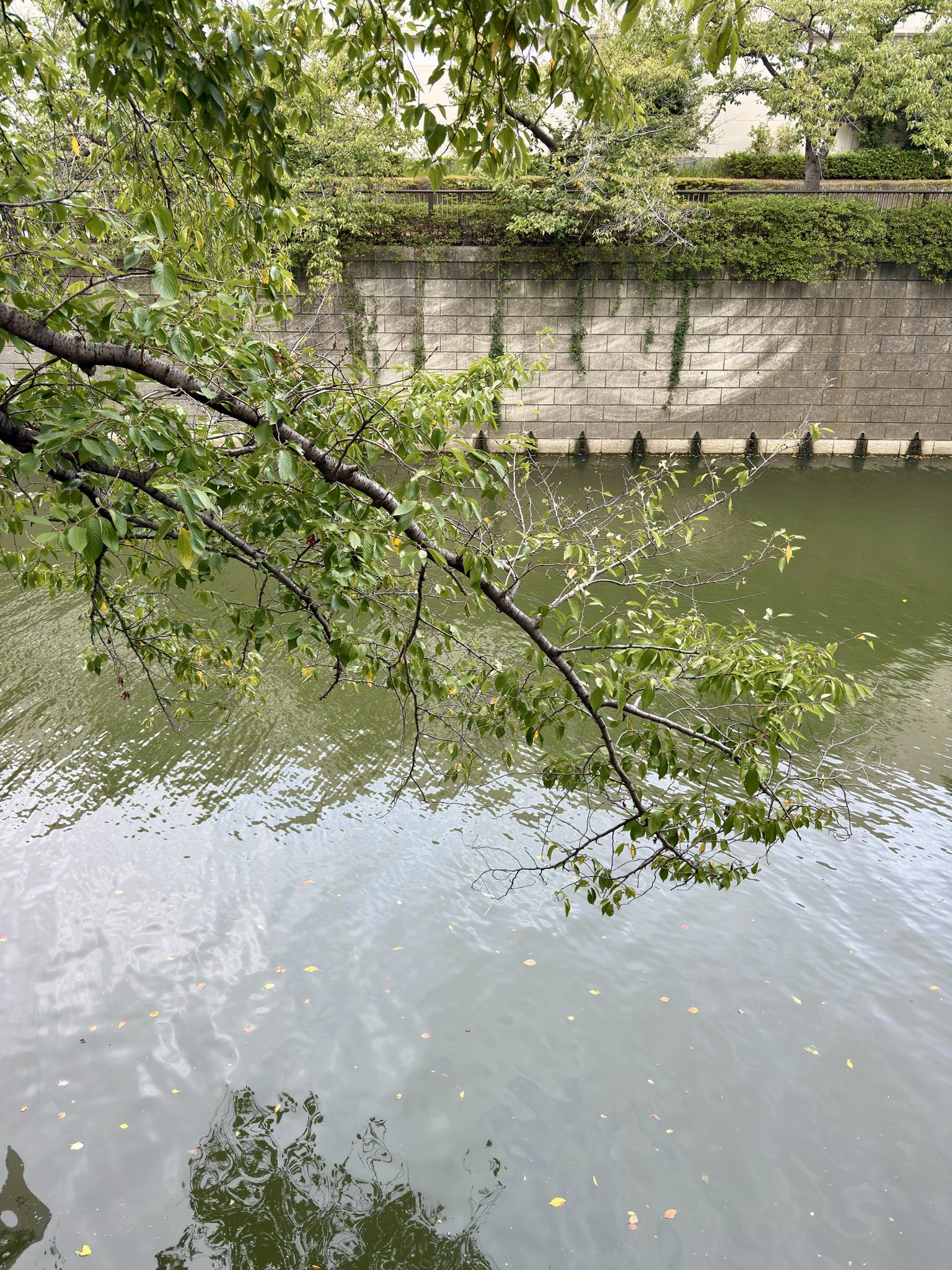 Kitchen remodeling project by Joe Renovate Store - photo 6